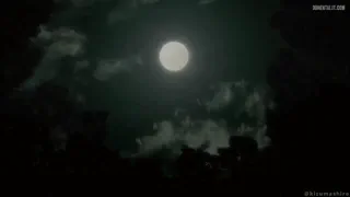 Preview at 00:01
