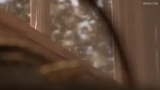 Preview at 00:01