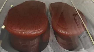 Huge Ass Agaist Glass Press