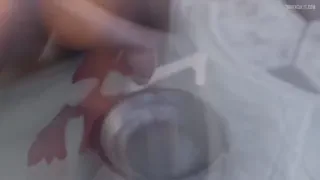 Preview at 00:17