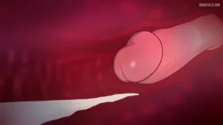 Preview at 00:17