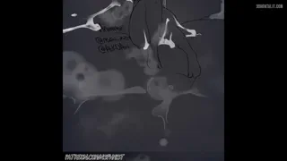 Preview at 00:53