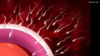 Preview at 00:16
