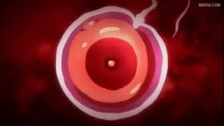 Preview at 00:21