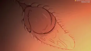 Preview at 00:07