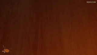 Preview at 00:40