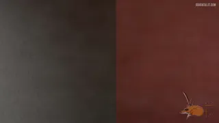 Preview at 00:01
