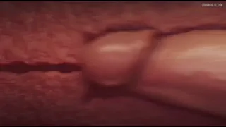 Preview at 00:01