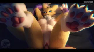 Preview at 00:06
