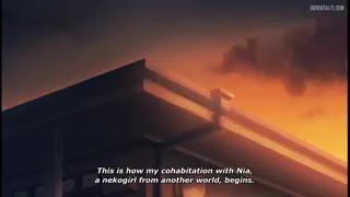 Preview at 03:47