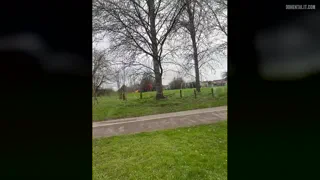 [Fb4a] Up for any plot that includes me being feminised I have a few ideas