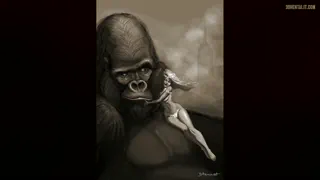 Looking for gorillas, apes - truly underrated