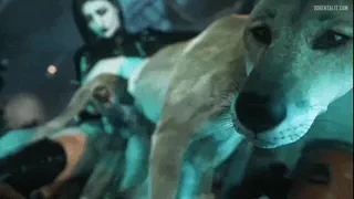 You Decide To Give The Dog Your Fostering A Treat He Wont Ever Forget, Letting Those Depraved Thoughts Get The Better Of You One Night