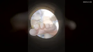 27 - Feet? Yes. Armpits? Yes. Shoes? Yes. Captions? Yes. Censors? Yes. I'm the full subby beta loser package~ (Social In Comments)