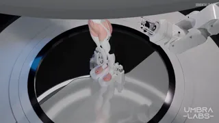 Bondage Sex Machine D.va GIF (By Umbralabs)