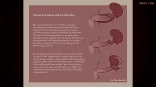 Little demon/spirit of the monastery and her lore ✍️ (Linaswalaf)