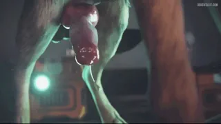 DM for more lol if u want