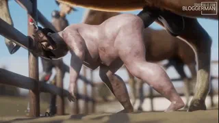 Farm breeding mare (Bloggerman)