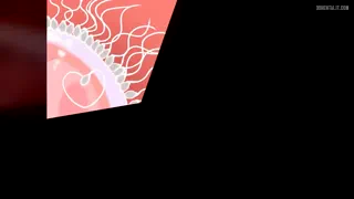 Preview at 00:06