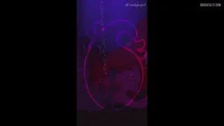 Preview at 00:06