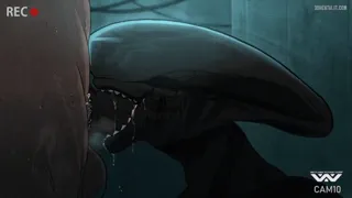 Preview at 00:03