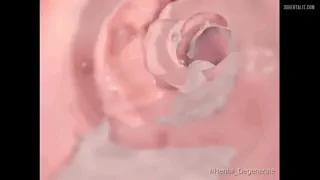 Pig cumdumpster: You're being filled with stinking pig cum, princess; you're a toy for all these pigs ....enjoy the show guys