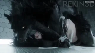 Preview at 00:33