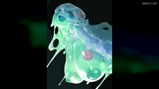 Would u f*ck a slime?❤️ 🔥💦 (Various Artists)