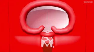Bull Inseminates Wife In Front Of Her Husband - Missionary Impregnation (Video Animation)
