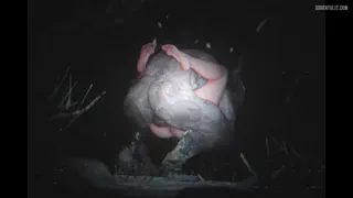 Sable Ward and Krampus (Zmsfm) [Dead By Daylight] [u/QuillEdi]