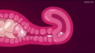 Tohru giving Ilulu a proper punishment (Hard-degenerate) [Dragon Maid] [u/Soggy-Ad5441]